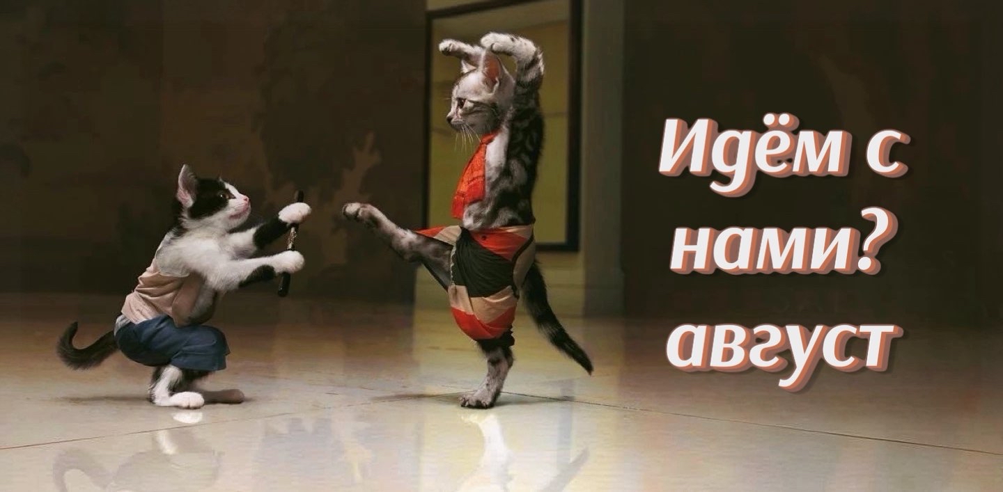 😸Идём с нами? Август😸 logo