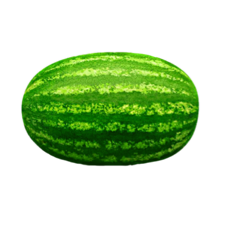 🍉Яркое лето🍉 icon