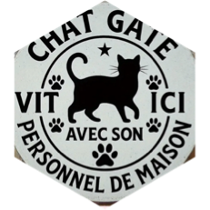 challenge badge