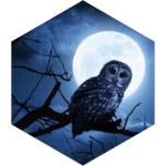 🐜🌜🐸🌛🕷️ ÉTÉ NOCTURNE 🕸️ icon
