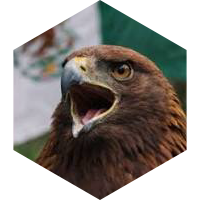 challenge badge