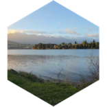 challenge badge