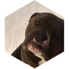 challenge badge