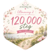 challenge badge