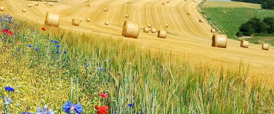 challenge background