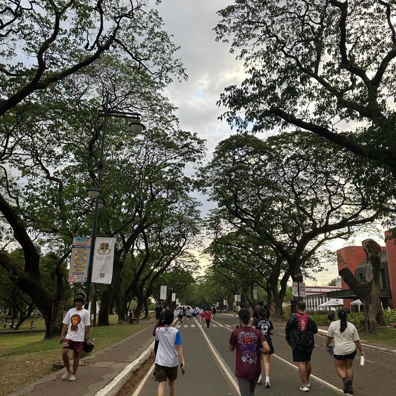 Fam walk logo