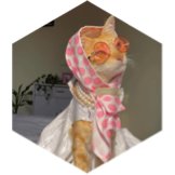 challenge badge