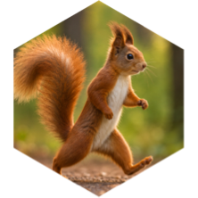 challenge badge