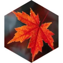 challenge badge