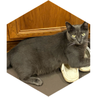 challenge badge
