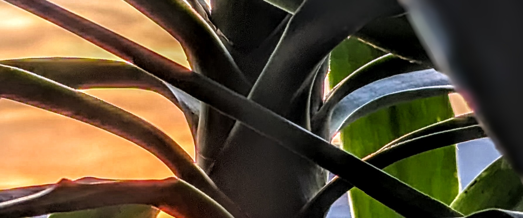challenge background
