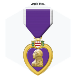 💜Purple Heart Day Challenge 💜 🫡 icon