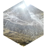 challenge badge