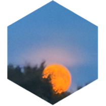 challenge badge