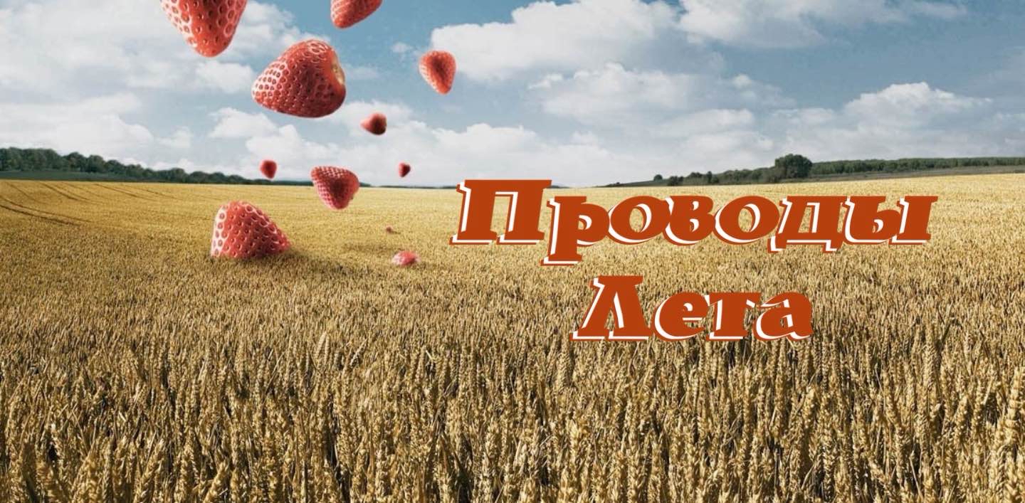 Проводы лета logo