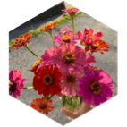 challenge badge