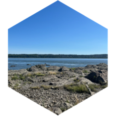 challenge badge