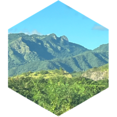 challenge badge