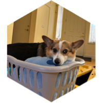 challenge badge