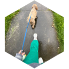 September Step Challenge icon