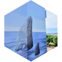 challenge badge