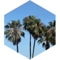 challenge badge