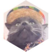 challenge badge