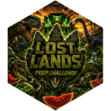 challenge badge