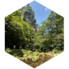 challenge badge