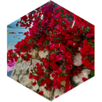 challenge badge