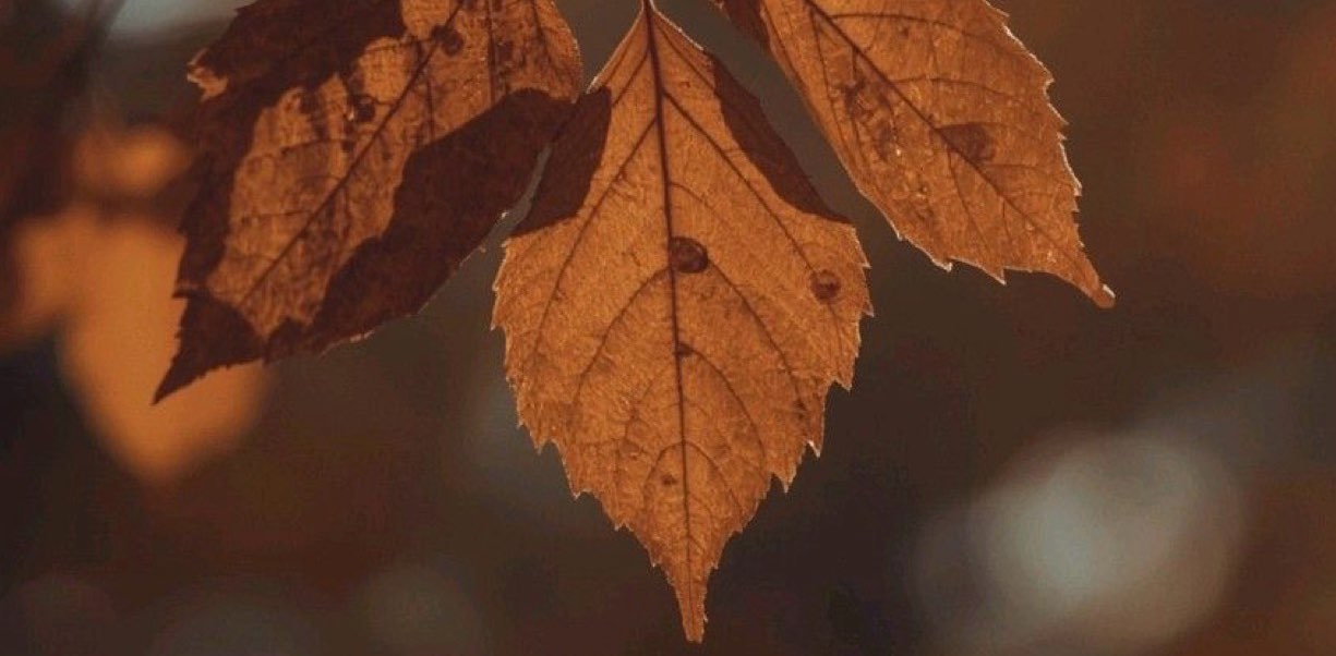 challenge background