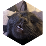 challenge badge