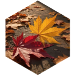 challenge badge