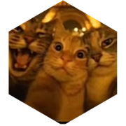 challenge badge