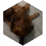 challenge badge