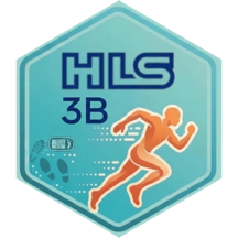 challenge badge
