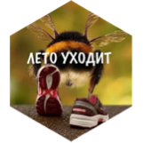 Сентябрьский рывок icon