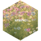 challenge badge