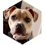 challenge badge