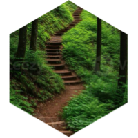 challenge badge