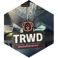 challenge badge