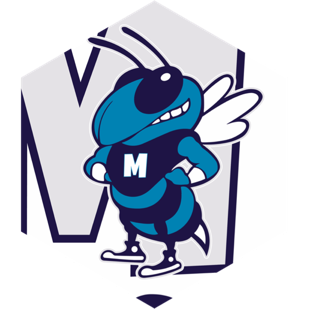 challenge badge
