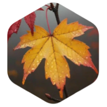 challenge badge