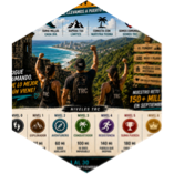 challenge badge