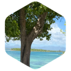 challenge badge