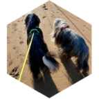 Objectif 10 000 pas/jour du groupe MARCHER 09/26 icon