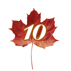 challenge badge
