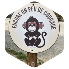 challenge badge