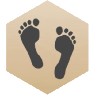 challenge badge
