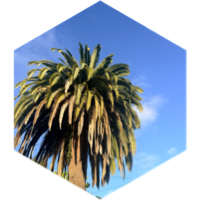 challenge badge